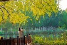 糖心直播app下载污-体验糖心直播,重新定义娱乐的视觉盛宴