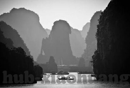 污91软件下载大象传媒-污91软件下载与大象传媒，网络文化中的灰色地带与警示